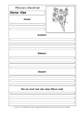 Pflanzensteckbriefvorlage-Klee-SW.pdf